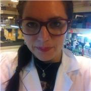 Profesora de Ciencias, apoyo en contenidos, pruebas, trabajos e informes